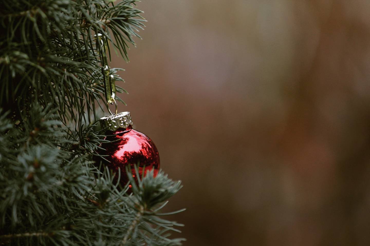 Kerstbomen inzamelen 4 januari 2025