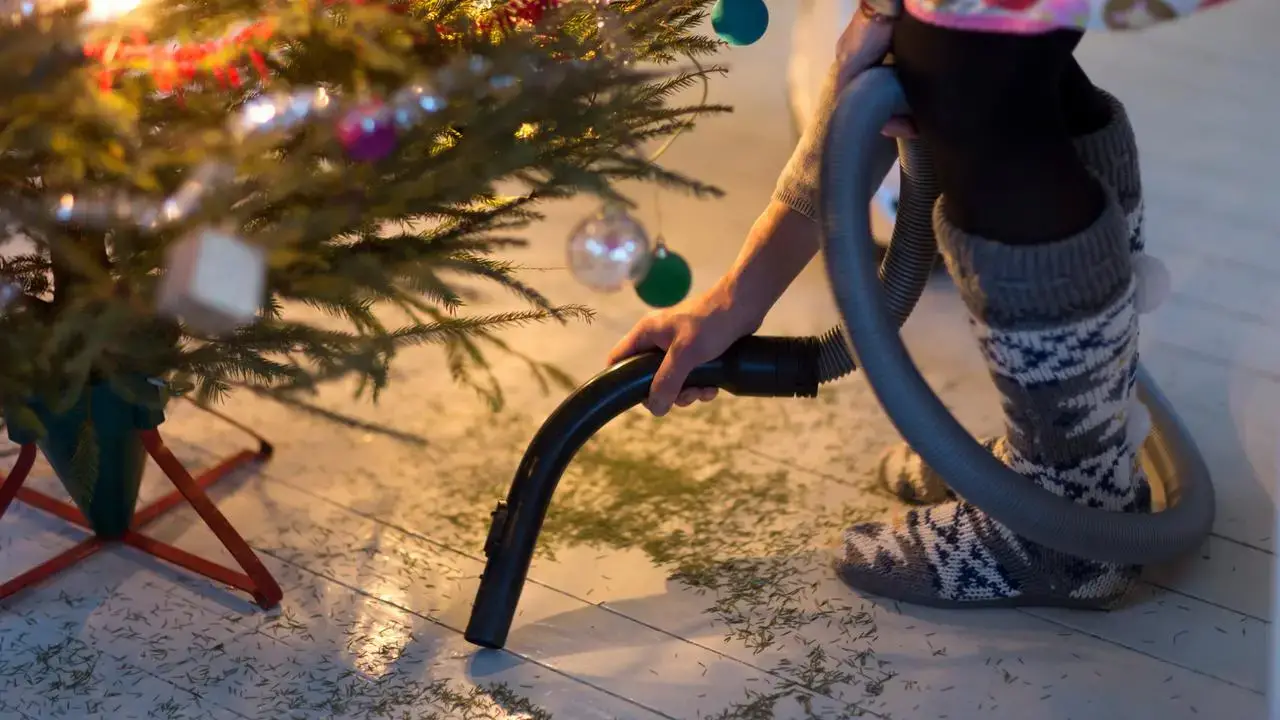 Kerstbomen inzamelen